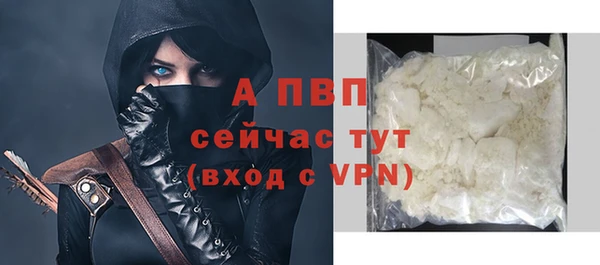 амф Белокуриха