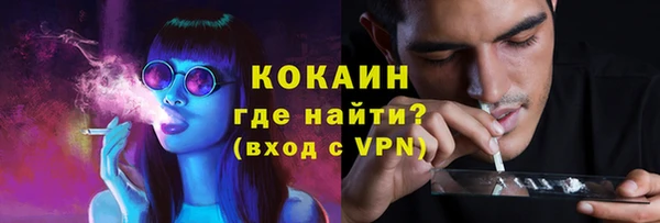 мяу мяу мука Беломорск