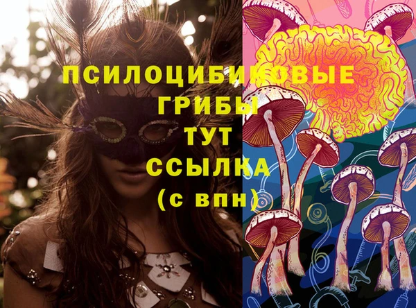 амф Белокуриха